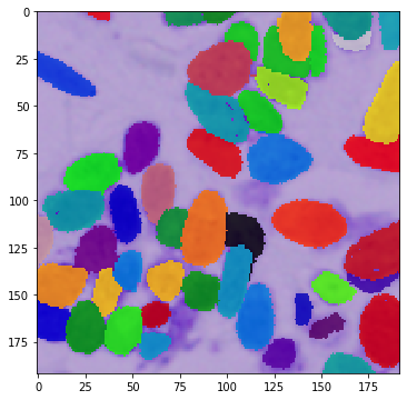 _images/DSBowl18_segmentation_9_2.png