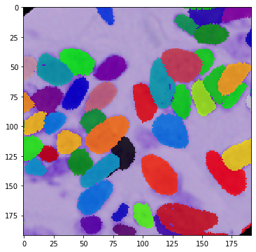 _images/DSBowl18_segmentation_9_6.png